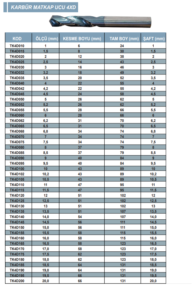 4D Karbür Matkap Ucu DIN338 Eric