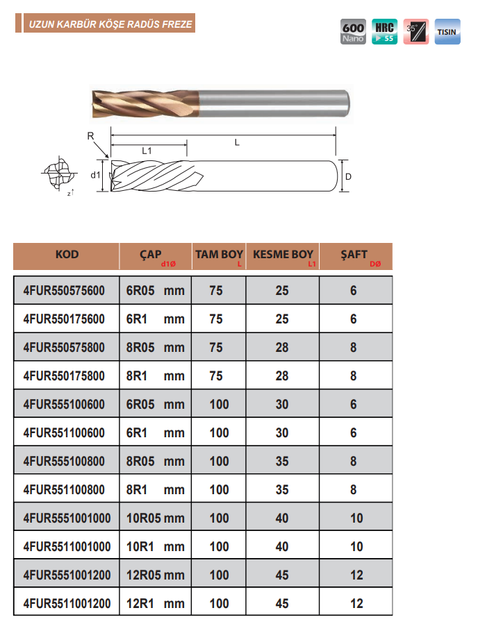 55HRC Uzun Karbür Köşe Radus Freze Eric