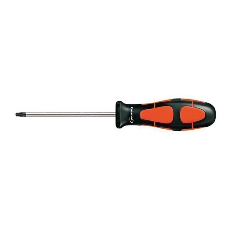FORMAT Torx Tornavida T15x80