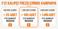 SUNCUT F12 Karbür Kalıpçı Freze