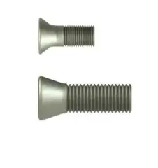 M2.5x10x3.5 Torx Vida Eric