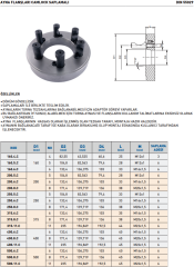 400-11 AYNA BAĞLAMA FLANŞI CAMLOCK DIN55029